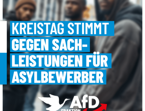 Sach- statt Geldleistungen – AfD-Antrag im Kreistag abgelehnt