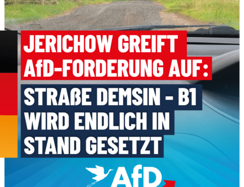 AfD-Forderung in Jerichow übernommen: Straße Demsin/B1 wird in Stand gesetzt